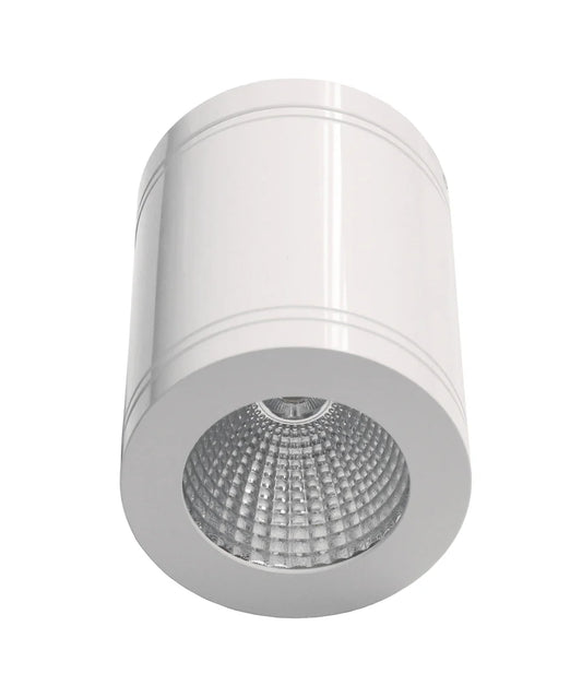 Surface: Led Dimmable Surface Mounted Ceiling Downlights(Cool White)