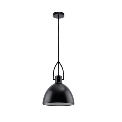 Terrence Black 1Lt Light Pendant